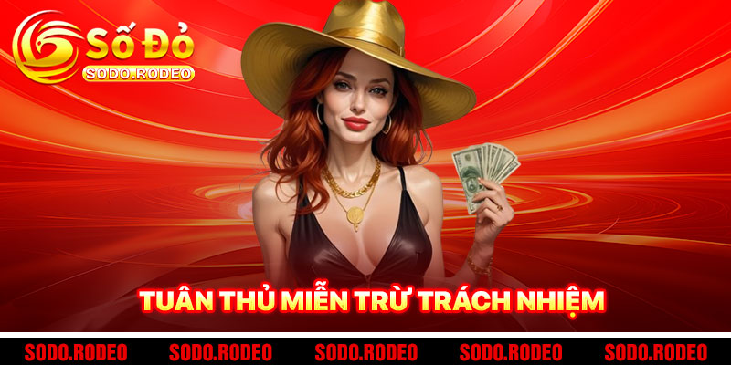 Hướng Dẫn Tuân Thủ Miễn Trừ Trách Nhiệm SODO