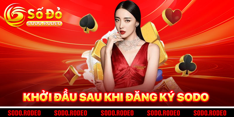 Bí Quyết Khởi Đầu Thành Công Sau Khi Đăng Ký SODO