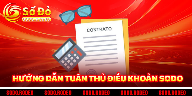 Hướng Dẫn Tuân Thủ Điều Khoản SODO