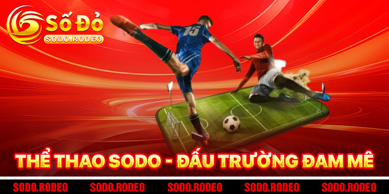 Thể Thao SODO - Đấu Trường Đam Mê Và Chiến Thắng